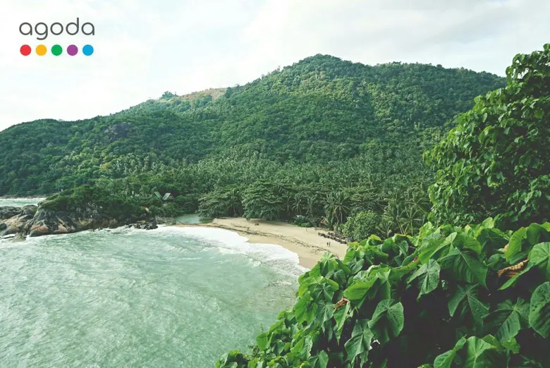 As Valentine's Day draws near, romance ta...