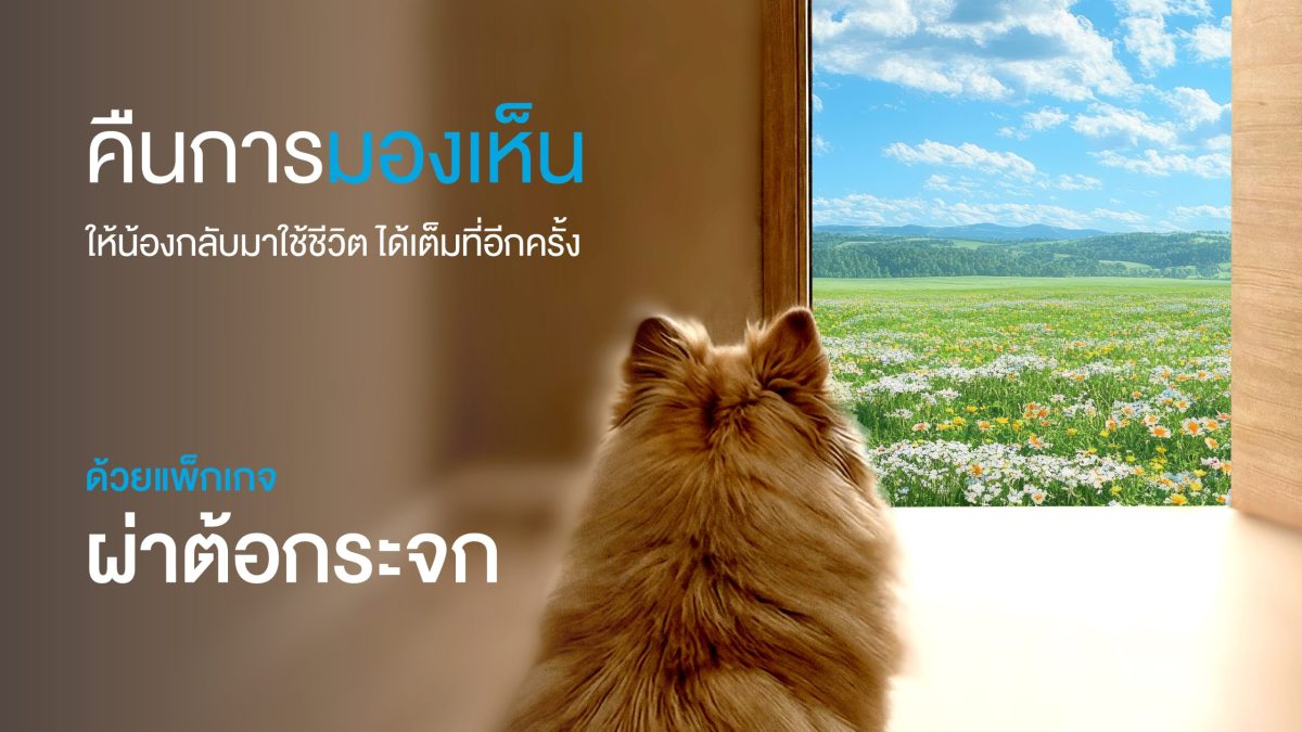 สำหรับคนรักสัตว์ที่ใช้ชีวิตร่วมกับสุนัขหร...