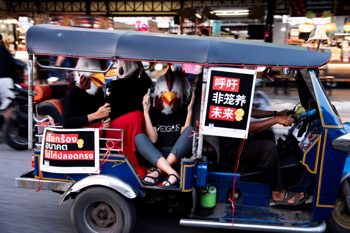 กลุ่มนักรณรงค์และอาสาสมัครเพื่อสัตว์จาก F...
