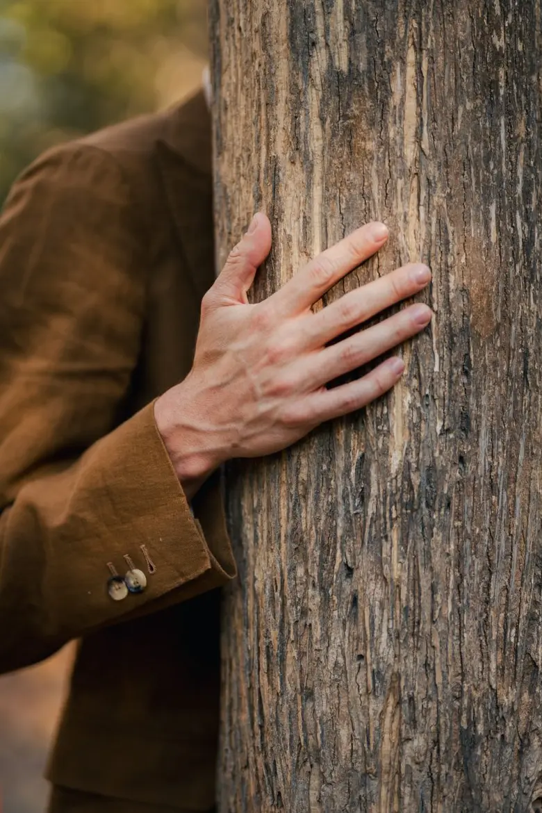 Khao Yai Art Forest Unveils 'Pulsus Vitae' World-class Exhibition by French Artist Duo 'Scenocosme' for Human Hearts and Trees to Beat in Same Rhythm