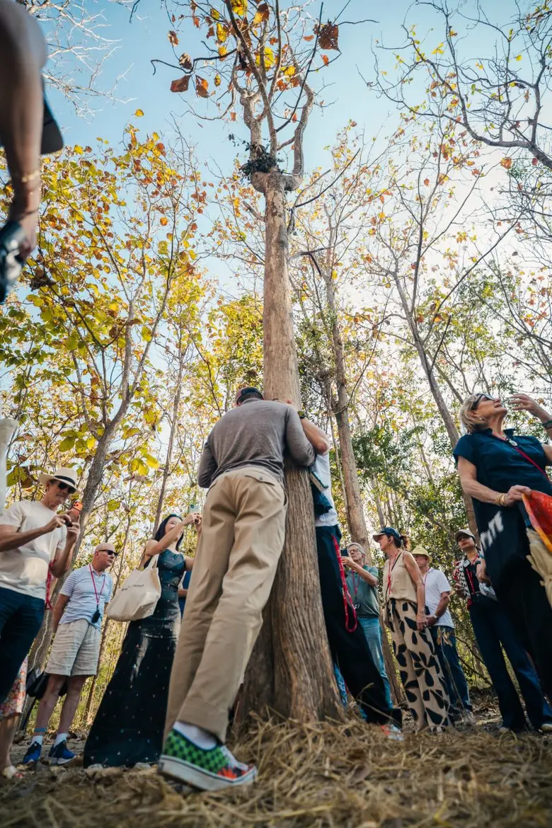 Khao Yai Art Forest เปิดตัว "Pulsus Vitae" นิทรรศการระดับโลกจากกลุ่มศิลปินฝรั่งเศส Scenocosme เมื่อหัวใจมนุษย์และต้นไม้ สั่นไหวในจังหวะเดียวกัน
