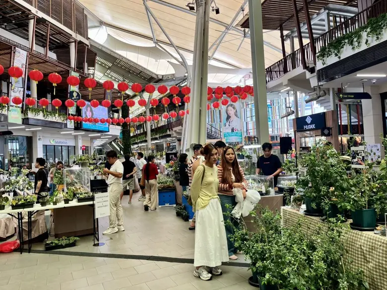 วงการไม้ใบด่างคึกคักอีกครั้ง หลังได้รับกร...