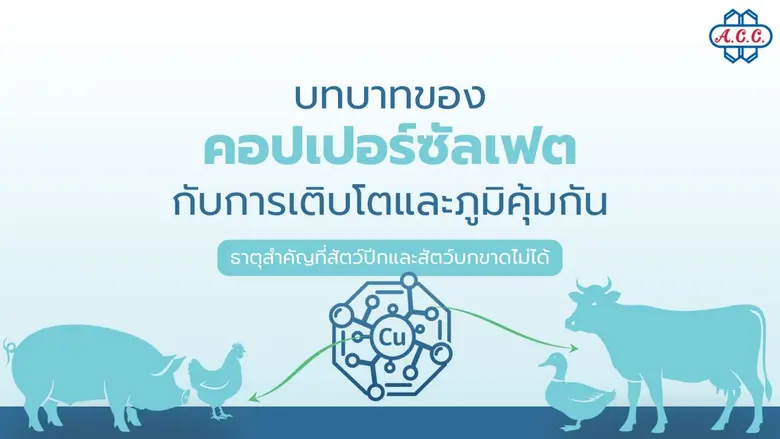 ปัญหาความอ่อนแอในสัตว์ฟาร์มและการเจริญเติบโตที่ไม่ไ...