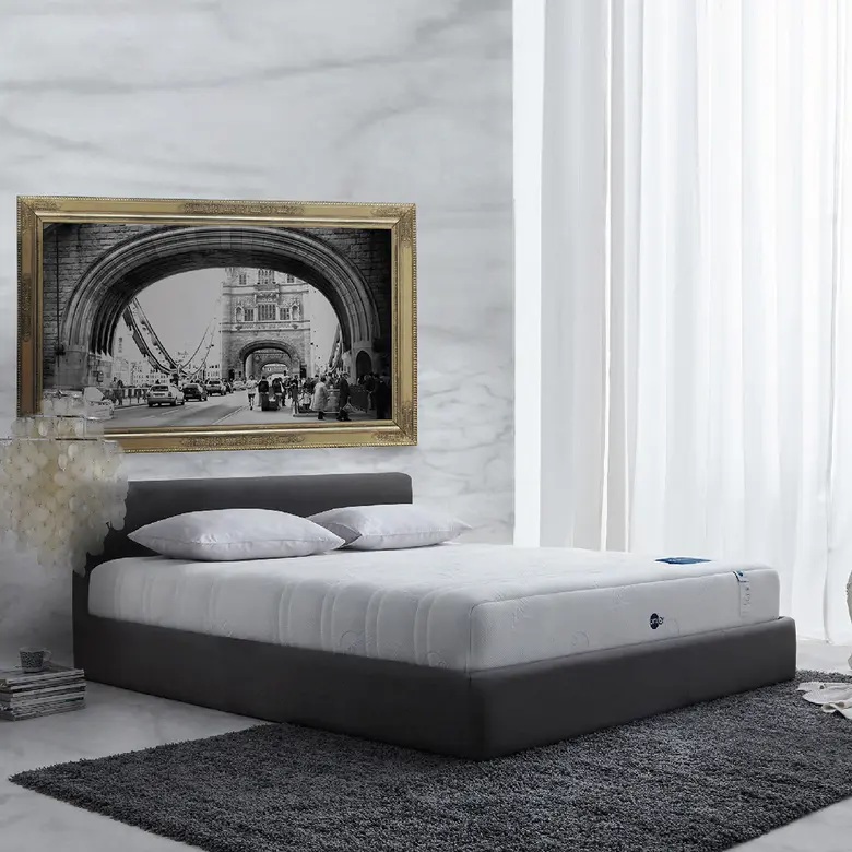 Omazz (โอมาซ) แบรนด์เครื่องนอนระดับไฮเอนด...