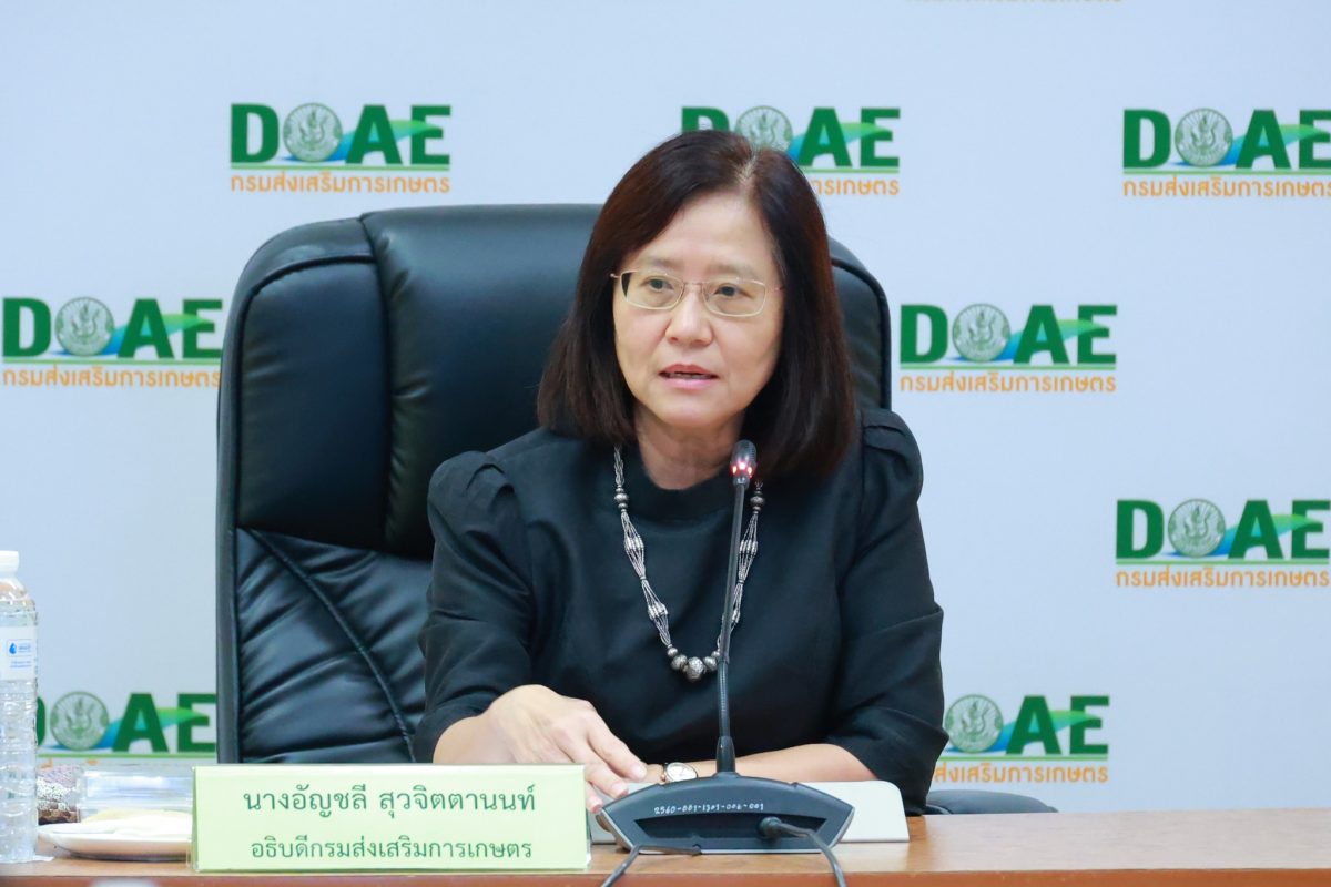 นางอัญชลี สุวจิตตานนท์ อธิบดีกรมส่งเสริมก...