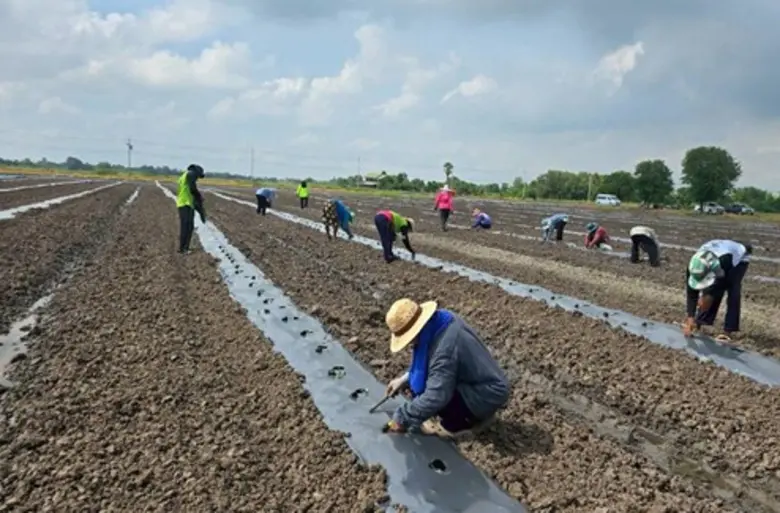 นางสาวกาญจนา ภูพิพัฒน์ผล ผู้อำนวยการสำนัก...