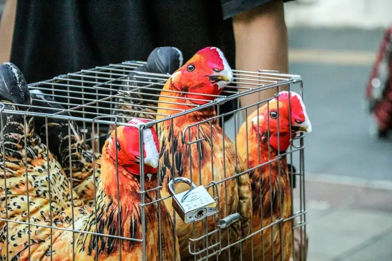 ท่ามกลางกระแสการตื่นตัวด้านจริยธรรมอาหารท...