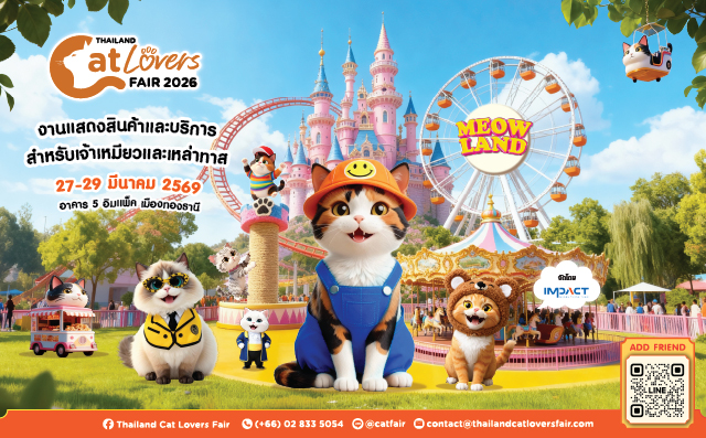 ทาสแมววอร์มร่างกายให้พร้อม เตรียมพุ่งตัวไ...
