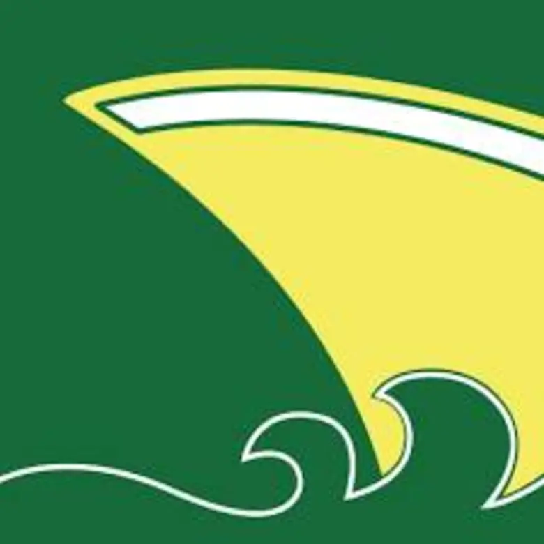 บริษัท พรีเชียส ชิพปิ้ง จำกัด (มหาชน) เจ้าของเรือ ม...