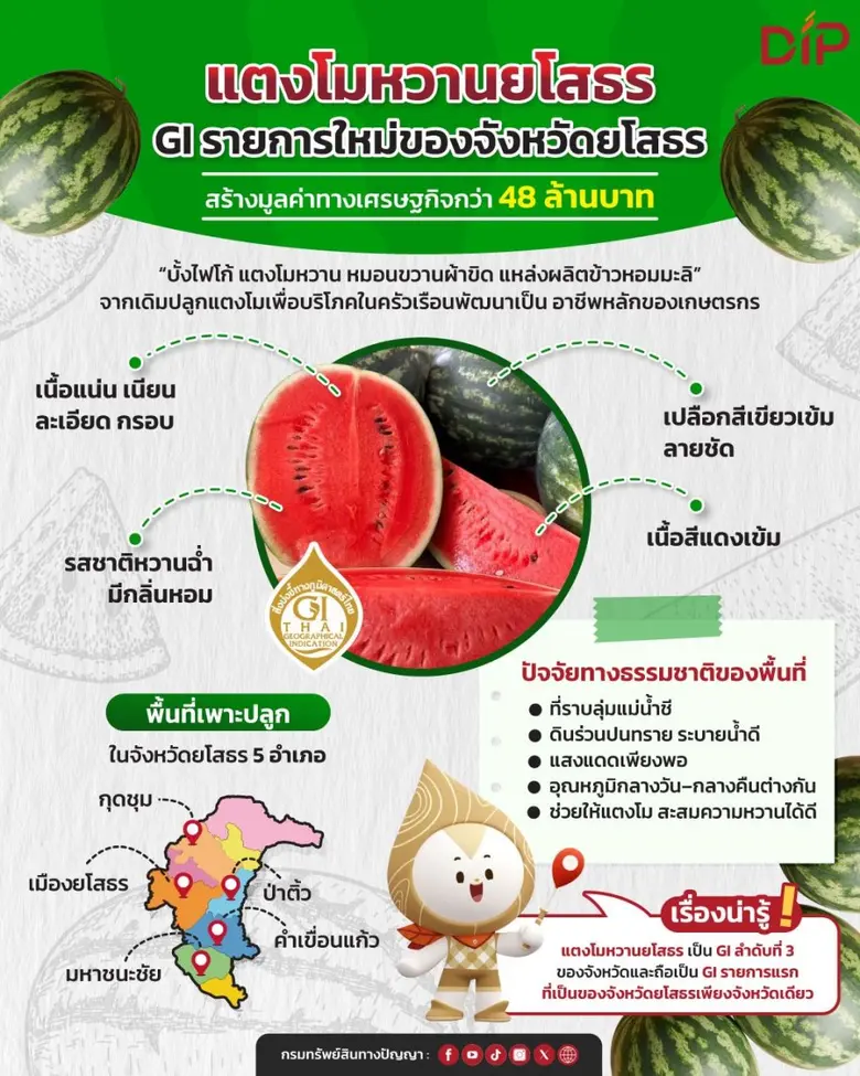 กรมทรัพย์สินทางปัญญา เดินหน้าขับเคลื่อนนโ...