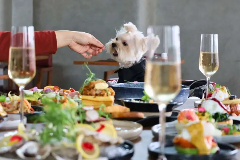 ค้นพบประสบการณ์บุฟเฟต์รูปแบบใหม่ที่ไม่เหมือนใครกับ ...