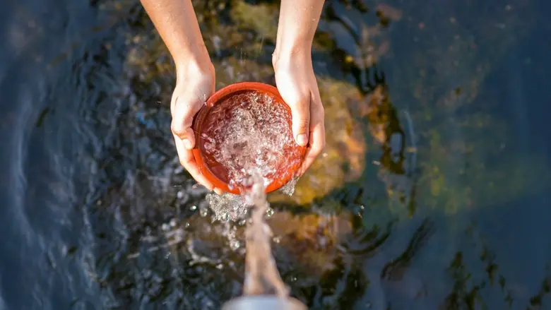 วันน้ำโลก: NGO ชี้ระบบอาหารโลกเพิ่มแรงกดดันต่อทรัพยากรน้ำ อุตสาหกรรมปศุสัตว์คือตัวแปรสำคัญ