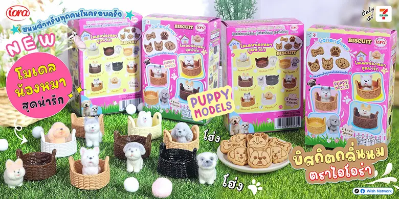 ใหม่ บิสกิตนม จาก ไอโอร่า (iora) พร้อมโมเ...