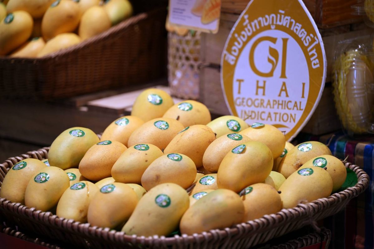 กรมทรัพย์สินทางปัญญา จับมือ ท็อปส์ จัดแคมเปญใหญ่ "Discover Thai Fruits 2026" ชวนสัมผัสเสน่ห์ผลไม้ GI เกรดพรีเมียมเปิดตัวด้วย "มะม่วง GI" คุณภาพโดนใจ สดชื่นรับหน้าร้อนชูอัตลักษณ์ท้องถิ่นไทย เพิ่มโอกาสเกษตรกร