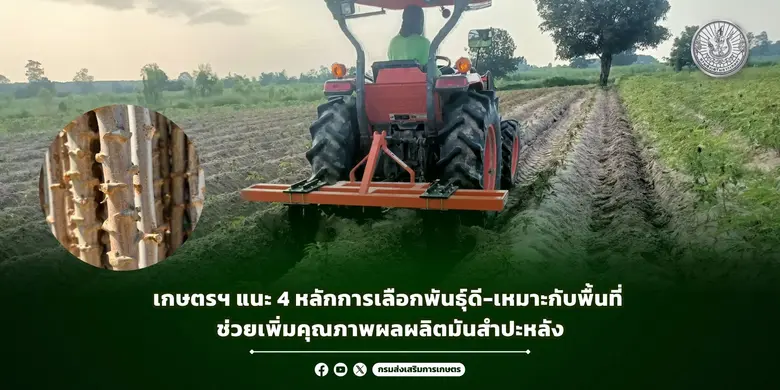 เนื่องจากปัจจุบันเกษตรกรประสบปัญหาการระบา...