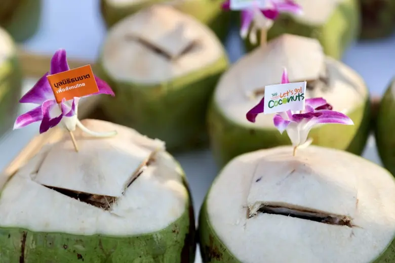 มูลนิธิธนชาตฯ ผนึกกำลัง MBK และพันธมิตร แจกฟรี "มะพร้าวน้ำหอม" กว่าหมื่นลูกใจกลางกรุง นำร่องช่วยชาวสวนฝ่าวิกฤตราคาตกต่ำ ปลุก Soft Power ไทยคึกคัก