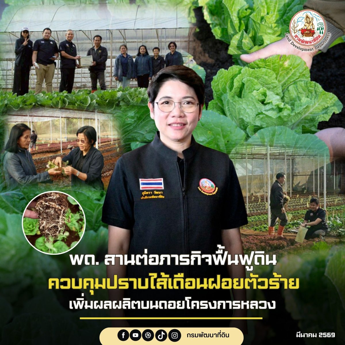 จากปัญหาการระบาดอย่างรุนแรงของไส้เดือนฝอย...