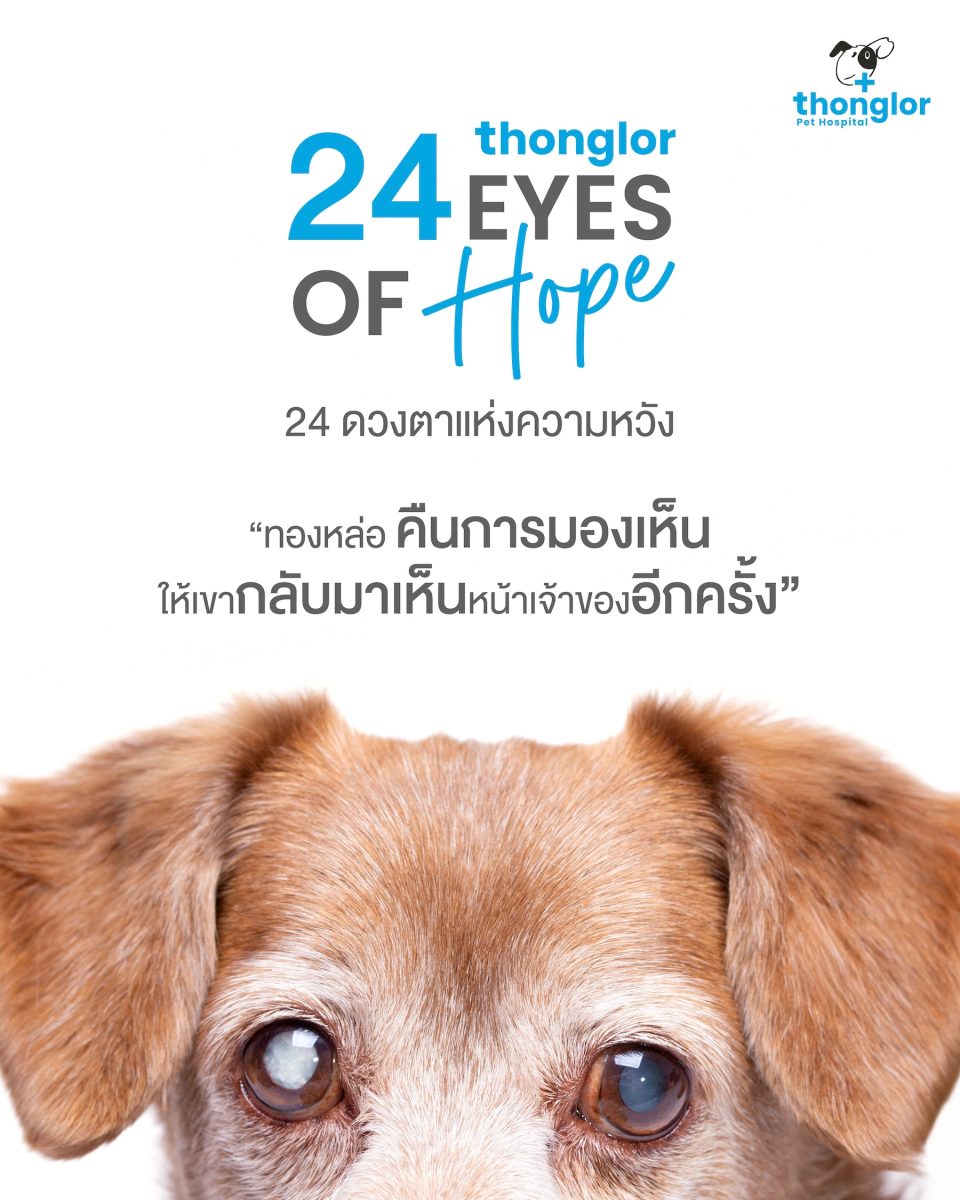 "สัตว์เลี้ยงไม่เคยลืมเจ้าของ แต่วันหนึ่งพ...