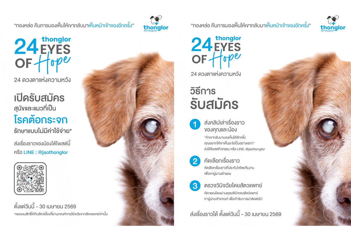 รพ.สัตว์ทองหล่อ เปิดตัวแคมเปญ "24 EYES OF HOPE" มอบแสงสว่างรักษาสัตว์ป่วยต้อกระจก คืนโมเมนต์ "การได้กลับมาเห็นหน้าเจ้าของอีกครั้ง"