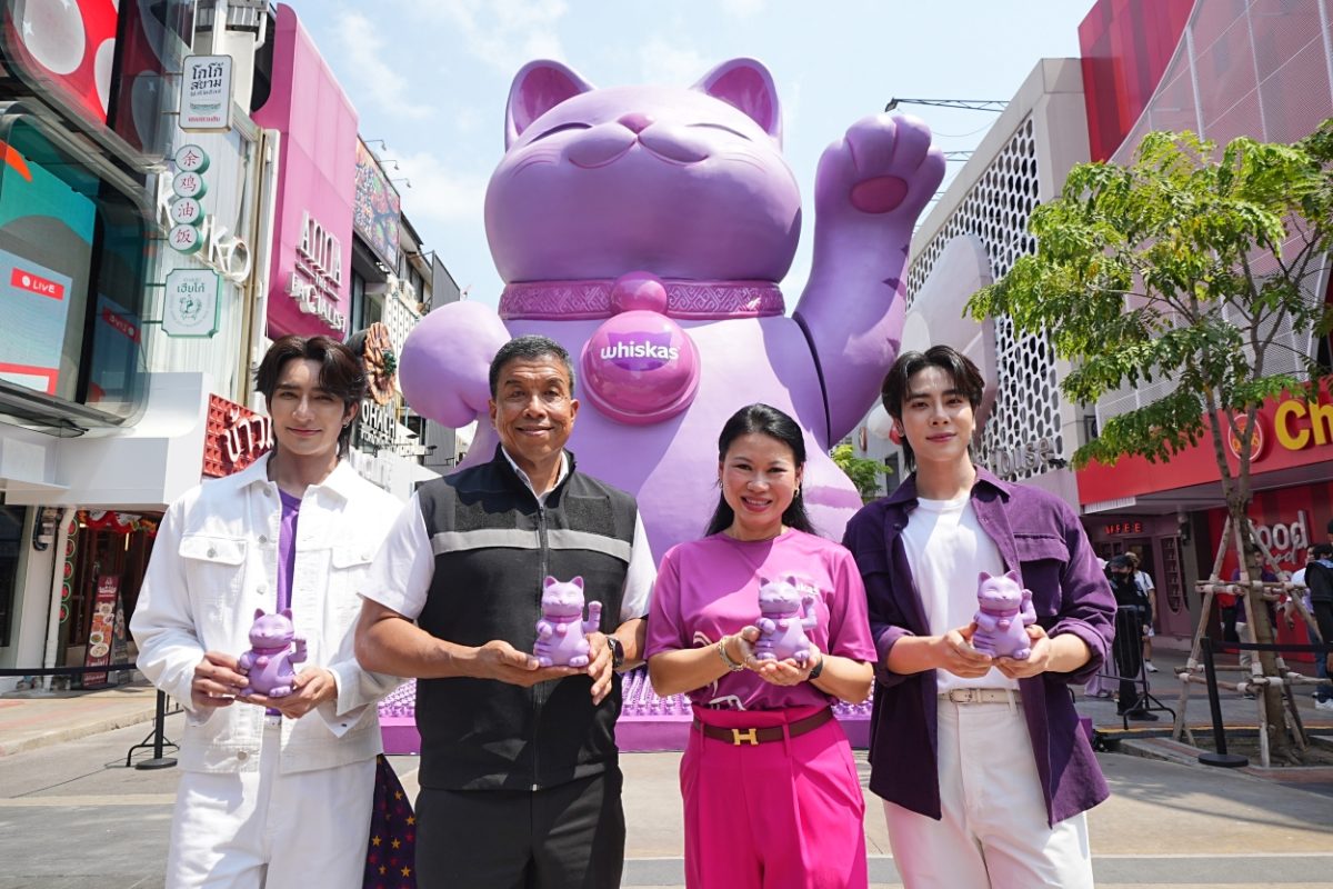 ผลวิจัยใหม่เผย 7 ใน 10 ของคนเลี้ยงแมวเชื่...