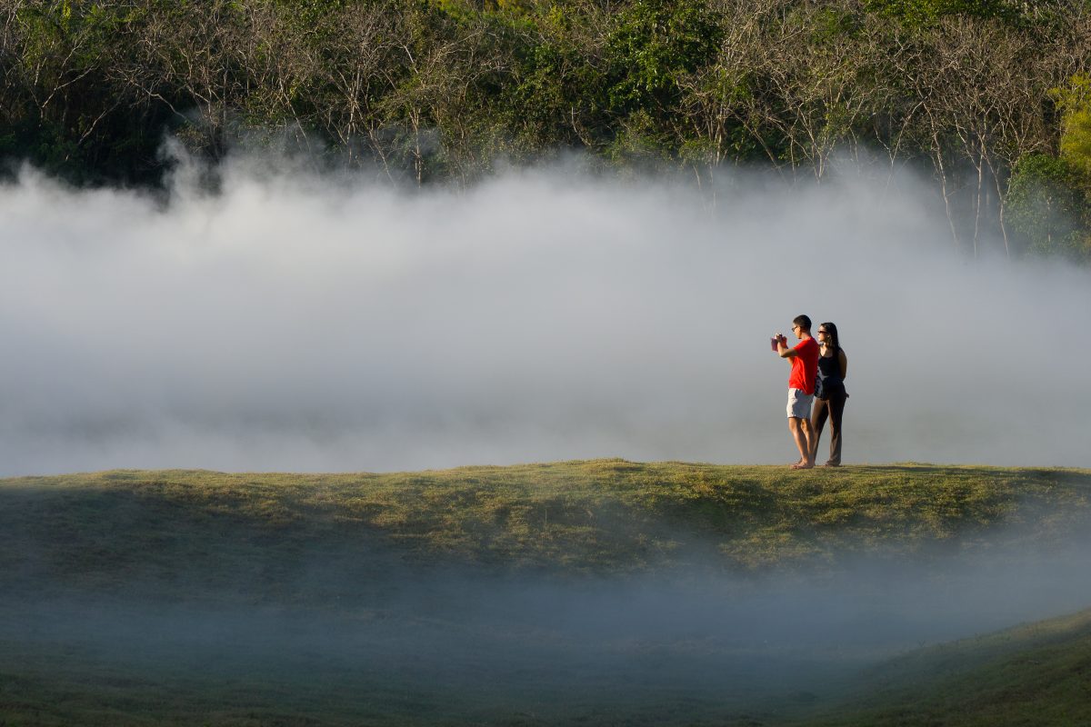 เขาใหญ่ อาร์ต ฟอเรสต์ (Khao Yai Art Fores...