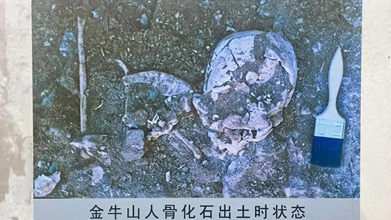 แหล่งโบราณคดีจินหนิวซาน เมืองอิ๋งโข่ว มรดกอายุ 260,000 ปี ที่เติมเต็มช่องว่างวิวัฒนาการของมนุษย์