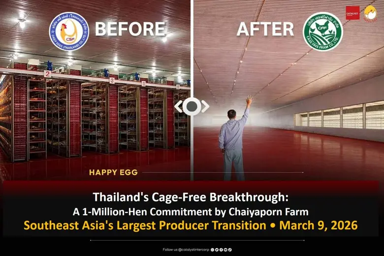 Thailand has reached a pivotal moment in cage-free ...