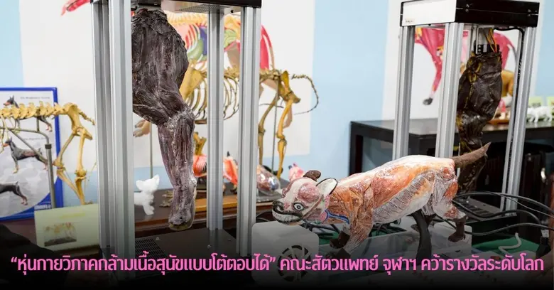 การเรียนกายวิภาคสำหรับนิสิตคณะสัตวแพทยศาส...