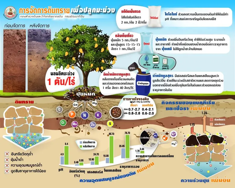กรมพัฒนาที่ดิน มีเคล็ดลับเปลี่ยน "ดินทราย...