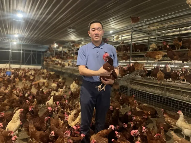 สงวนฟาร์มบุกเบิกโรงเรือนเลี้ยงไก่ไข่แบบไม...