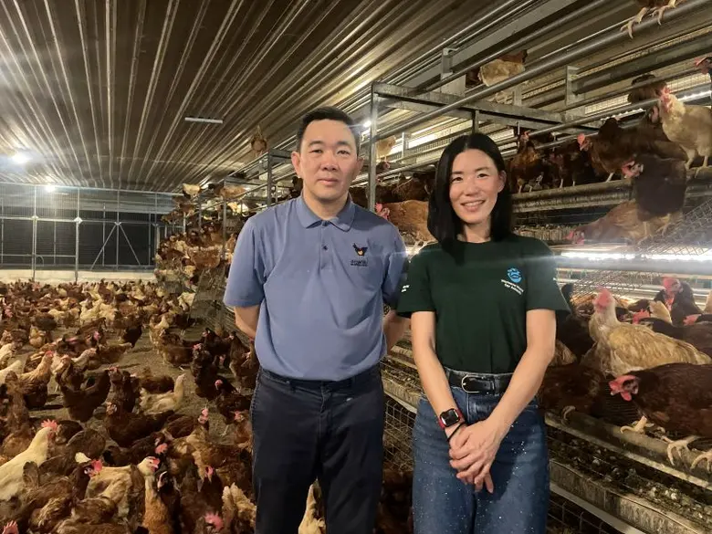 สงวนฟาร์มบุกเบิกโรงเรือนเลี้ยงไก่ไข่แบบไม่ขังกรงแบบหลายชั้น (Aviary System) แห่งแรกของไทย