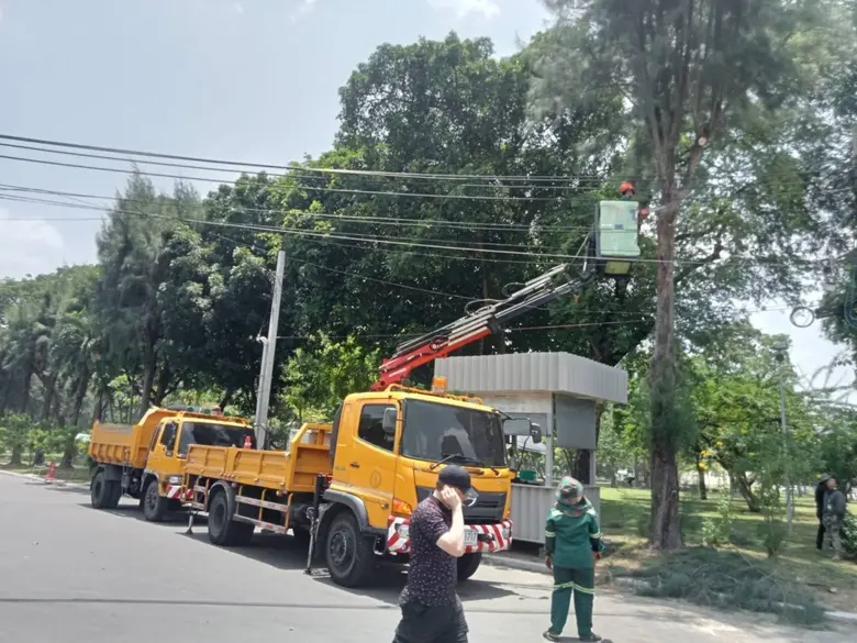 นางสาววรนุช สวยค้าข้าว ผู้อำนวยการสำนักสิ...