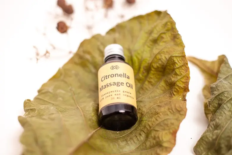 Across the globe, the wellness industry h...