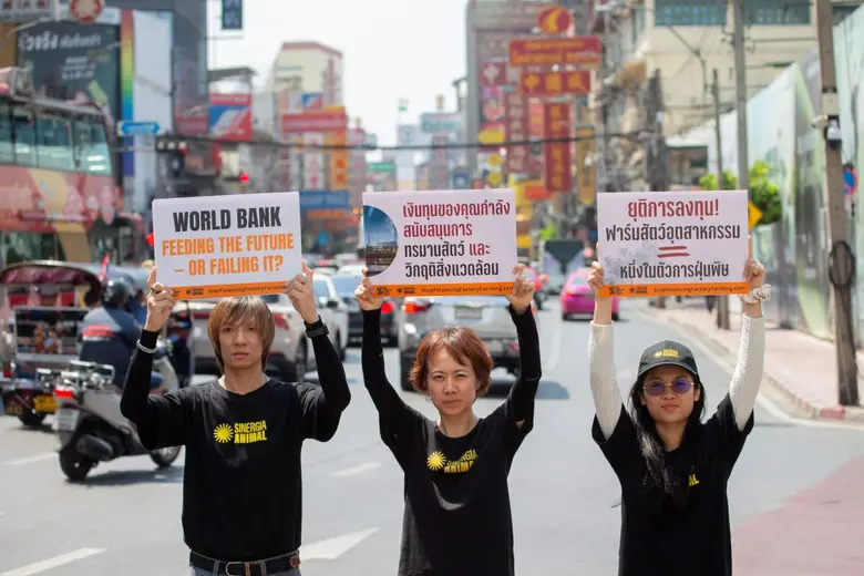 ซิเนอร์เจีย แอนนิมอล ชี้ทิศทางการลงทุนต้อ...