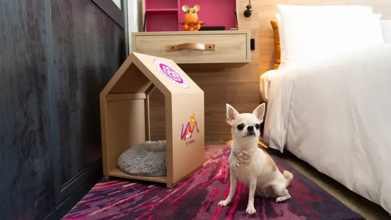 ม็อกซี่ แบงคอก ราชประสงค์ โรงแรมม็อกซี่แห...