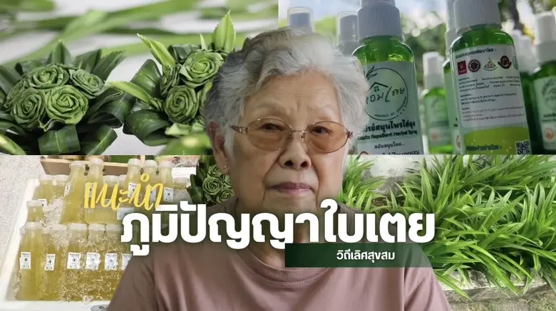 ชุมชนเลิศสุขสมรวมพลังคนในพื้นที่ นำ "ใบเตย" พืชท้อง...