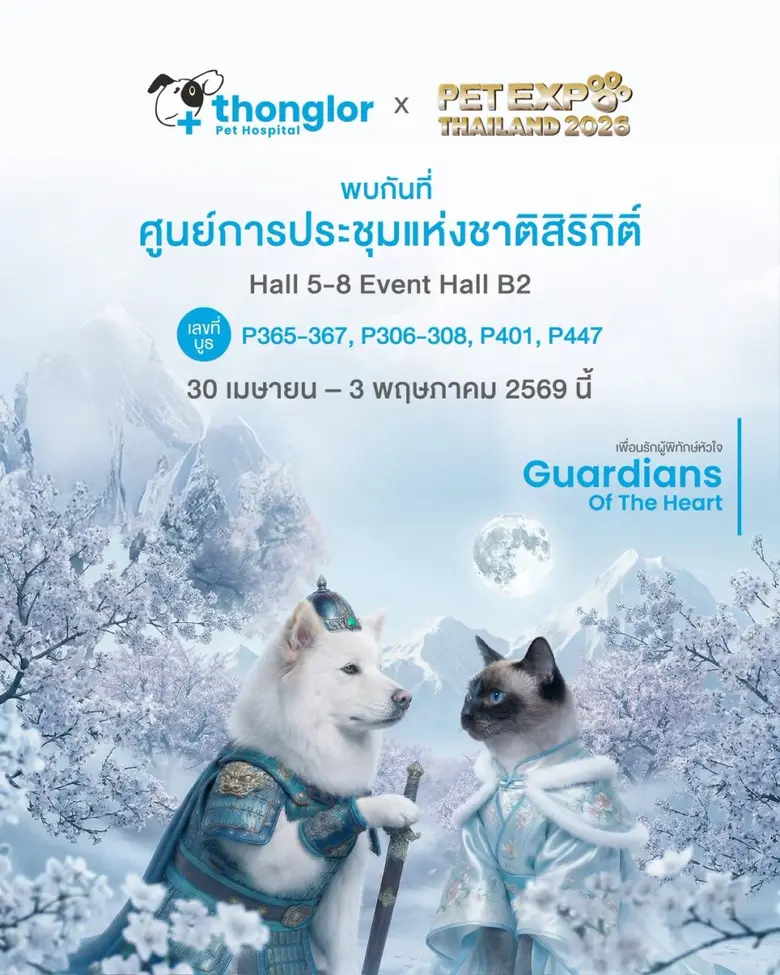 โรงพยาบาลสัตว์ทองหล่อ (Thonglor Pet Hospi...