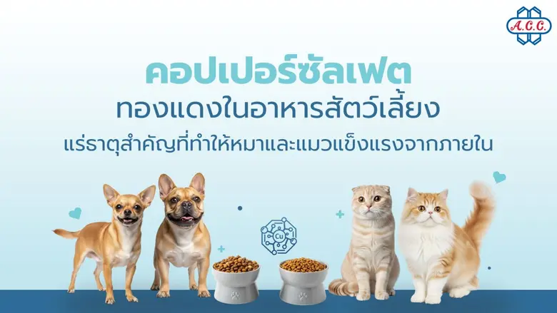 ในยุคที่สัตว์เลี้ยงเปรียบเสมือนสมาชิกในคร...