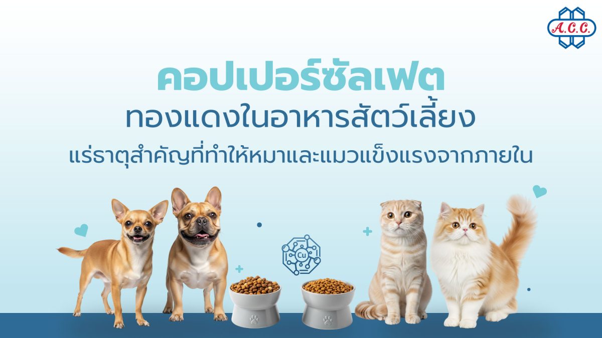ในยุคที่สัตว์เลี้ยงเปรียบเสมือนสมาชิกในครอบครัว การ...