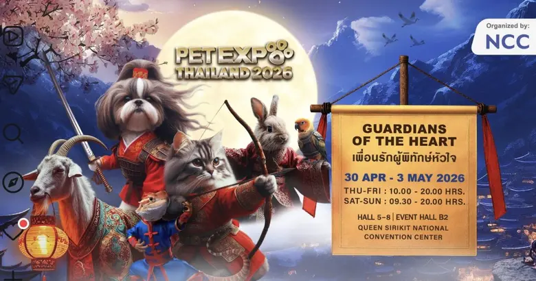 บริษัท เอ็น.ซี.ซี. แมนเนจเม้นท์ แอนด์ ดิเวลลอปเม้นท...