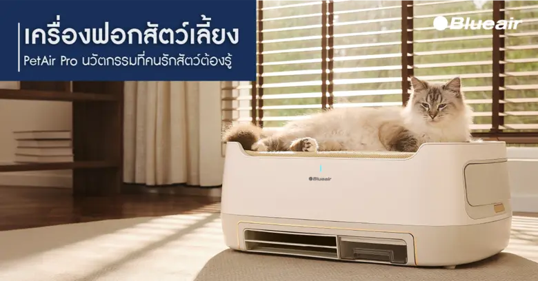 สำหรับคนรักสัตว์ ปัญหาเรื่องขนปลิวว่อน กลิ่นไม่พึงป...