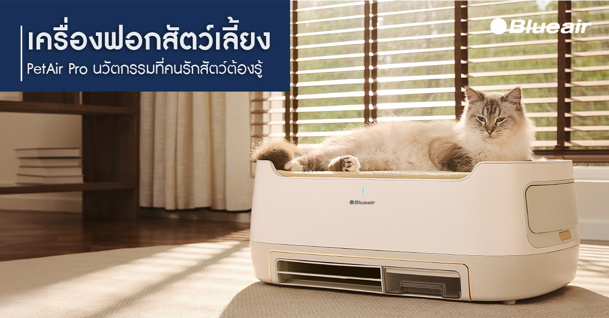 สำหรับคนรักสัตว์ ปัญหาเรื่องขนปลิวว่อน กล...