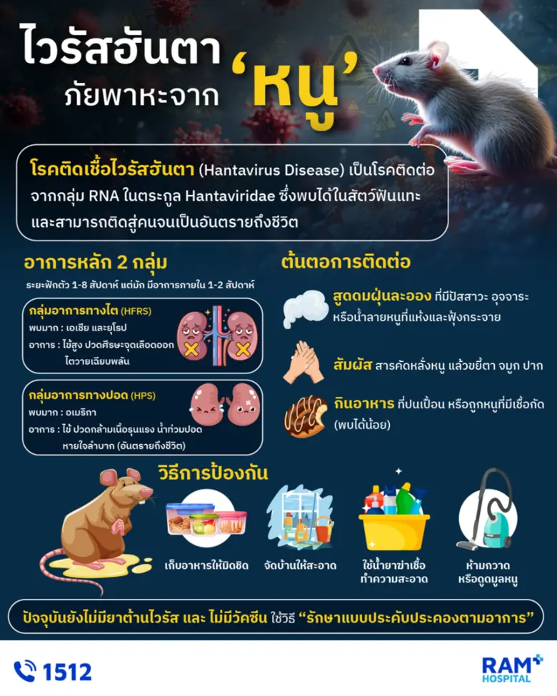"ไวรัสฮันตา" ภัยเงียบจากหนูที่กลับมาตื่นต...