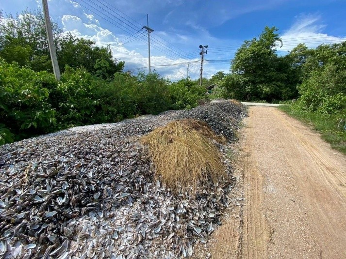 From Mussel Shell Waste to Bio-Responsive Ventilation Blocks: Turning Byproducts into Innovation