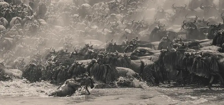 เอปสันเชิญชวนช่างภาพทั่วโลกส่งผลงานเข้าร่วมประกวดภา...
