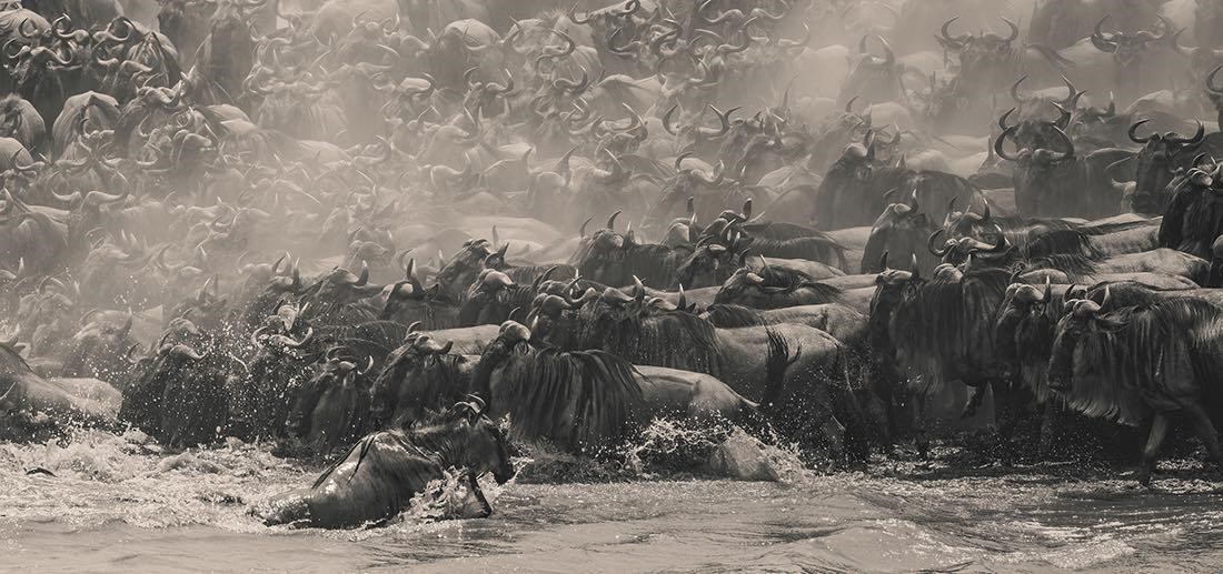 เอปสันเชิญชวนช่างภาพทั่วโลกส่งผลงานเข้าร่...