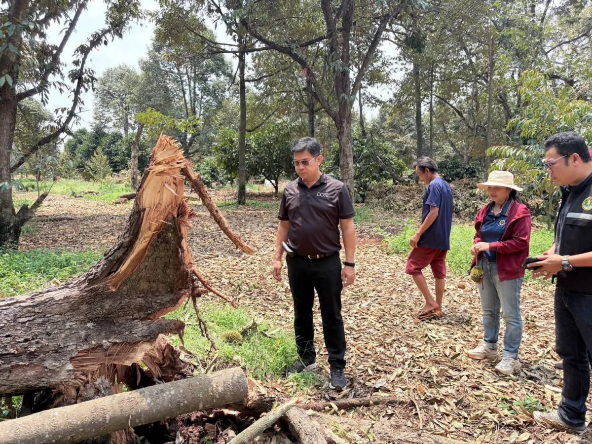 เกษตรฯ เผย 3 สิ่ง เกษตรกรควรทำ เพื่อรับการช่วยเหลือ เมื่อประสบภัยพิบัติด้านพืช