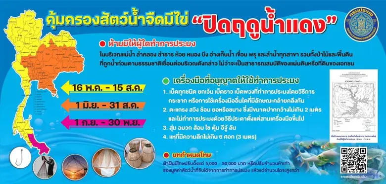 นางฐิติพร หลาวประเสริฐ อธิบดีกรมประมง เปิดเผยว่า กร...