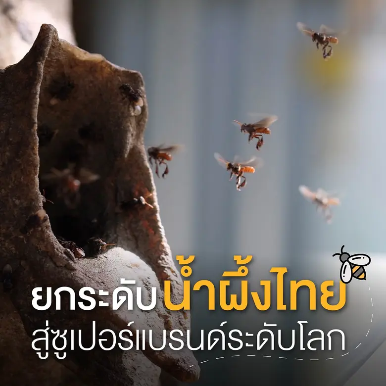 บพท. หนุนกลุ่ม SIE คลัสเตอร์ชันโรง สร้างความเข้มแข็...