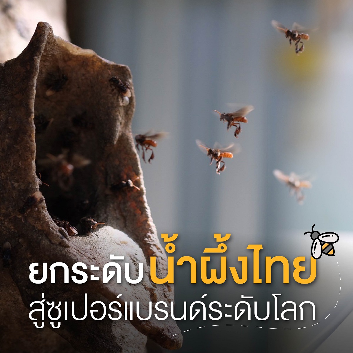 บพท. หนุนกลุ่ม SIE คลัสเตอร์ชันโรง สร้างค...
